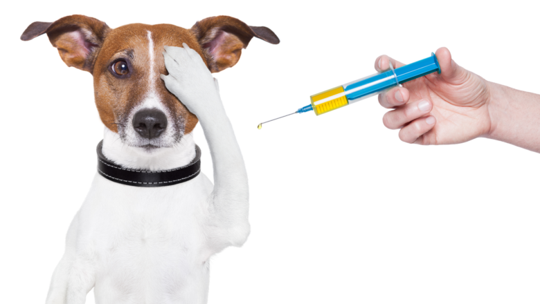 Vaccines & Deworming